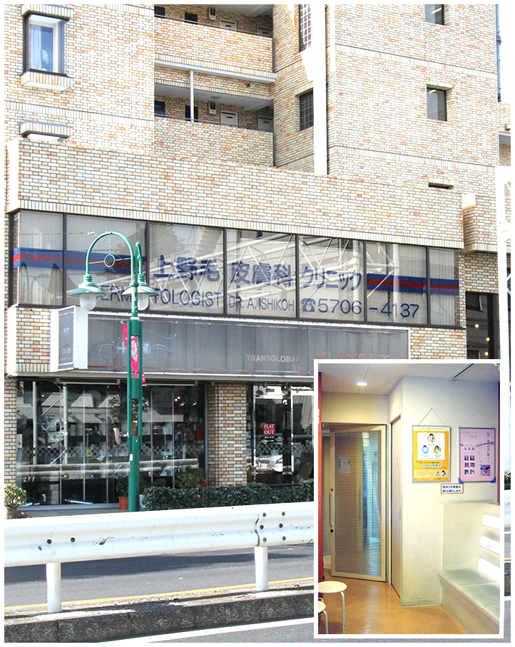 Kaminoge hifuka clinic