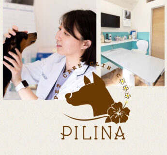 PET CARE CLINIC PILINA