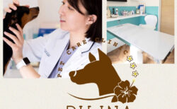 PET CARE CLINIC PILINA